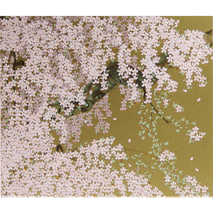 高山村の枝垂桜