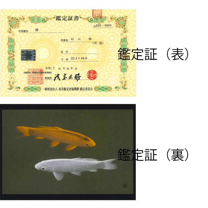 鯉 10号小