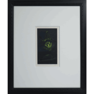 メタモルフォーシス 銅版画