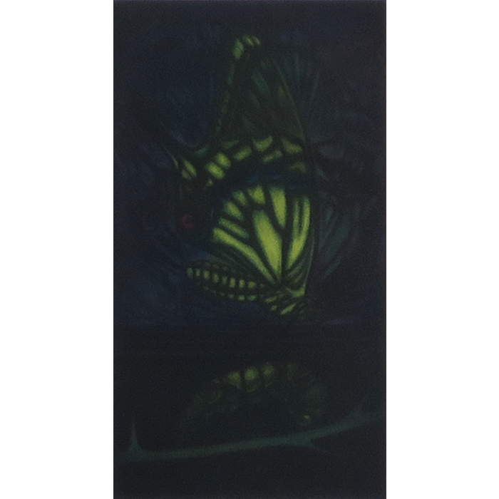 メタモルフォーシス 銅版画