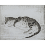 藤田嗣治　眠る猫　猫十態より　販売
