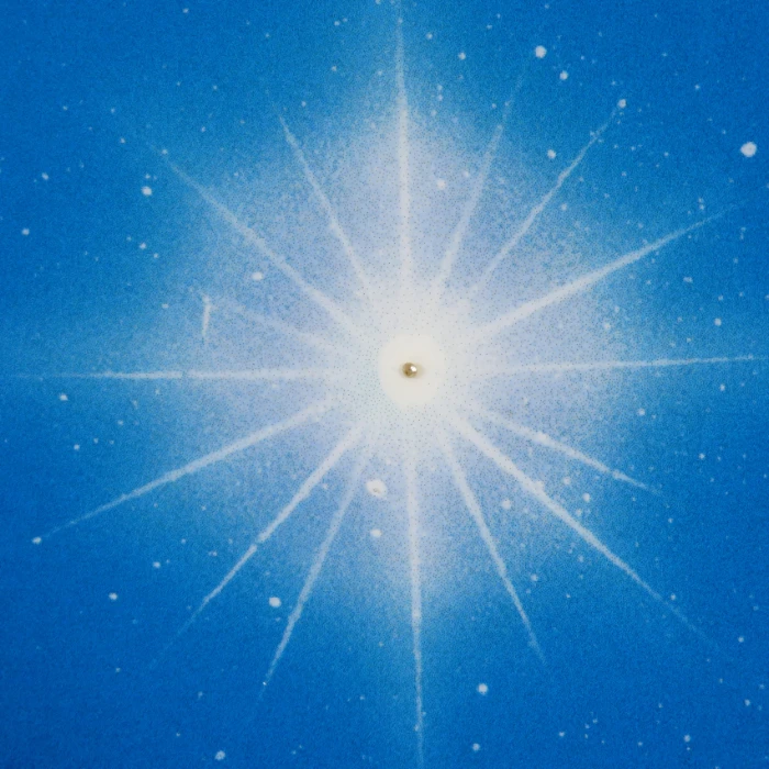 バランス・オブ・ライフ　Mix版画