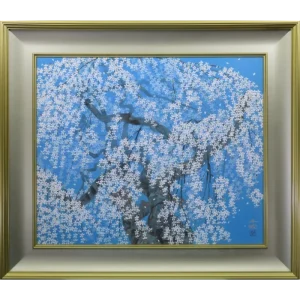 清雲寺の枝垂桜 20号